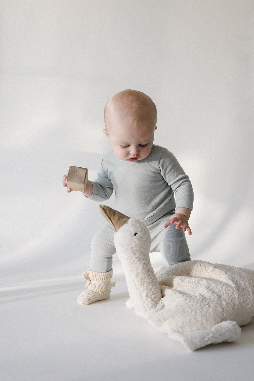 High Belly Pant | Coast