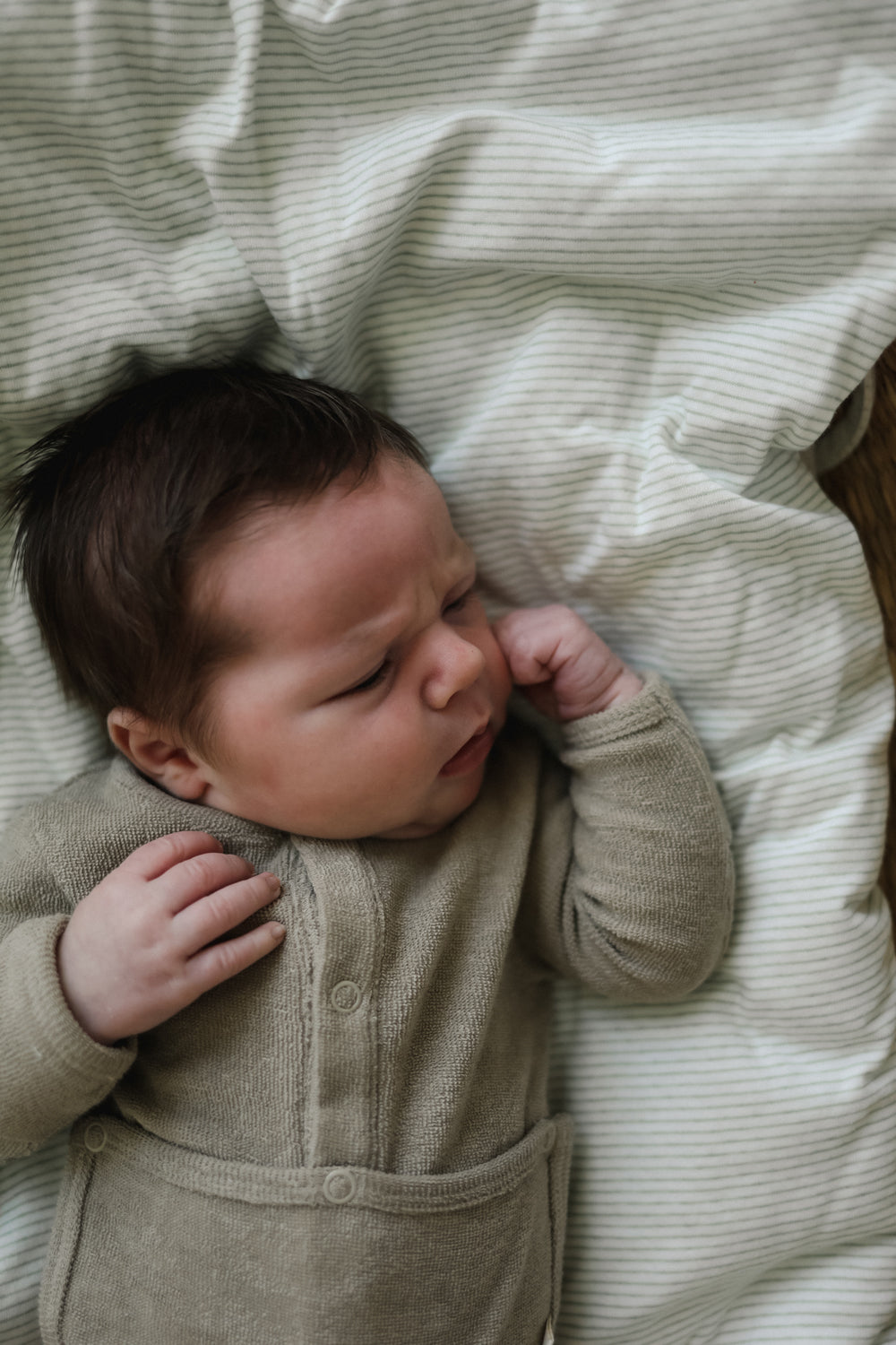 Terry Front flap Onesie | Taupe